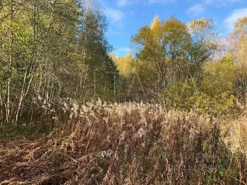 Участок в Ленинградская область, Лодейнопольское городское поселение, ... - Фото 1