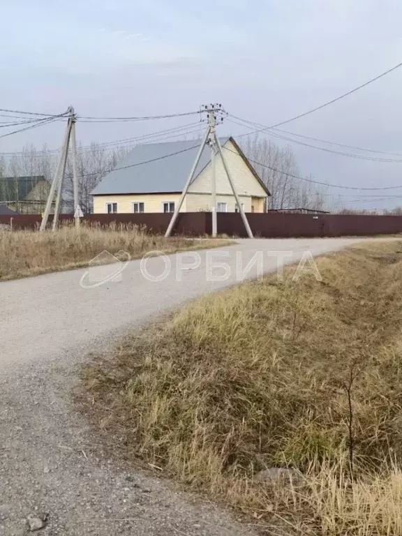 Участок в Тюменская область, Тюменский муниципальный округ, с. Борки  ... - Фото 1