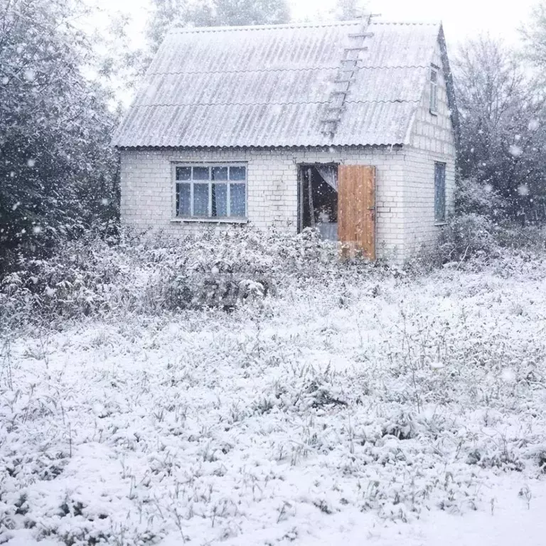 Дом в Курская область, Курск Дубрава садовое товарищество,  (38 м) - Фото 1