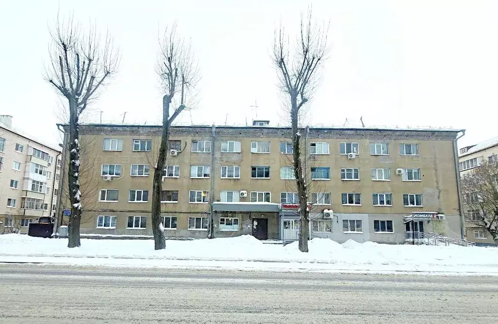 1-к кв. Татарстан, Казань Бирюзовая ул., 19 (22.1 м) - Фото 1