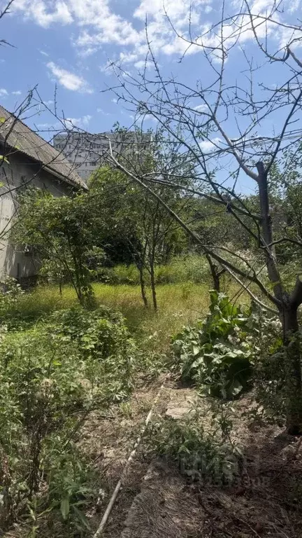 Участок в Севастополь Садовое товарищество Куликово Поле, ул. ... - Фото 2