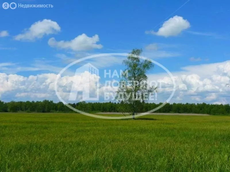 Участок в Лысьва, Окружная улица, 47 (6 м) - Фото 1