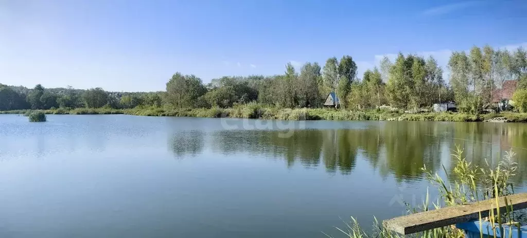 Участок в Московская область, Дмитровский городской округ, Амарант СНТ ... - Фото 1