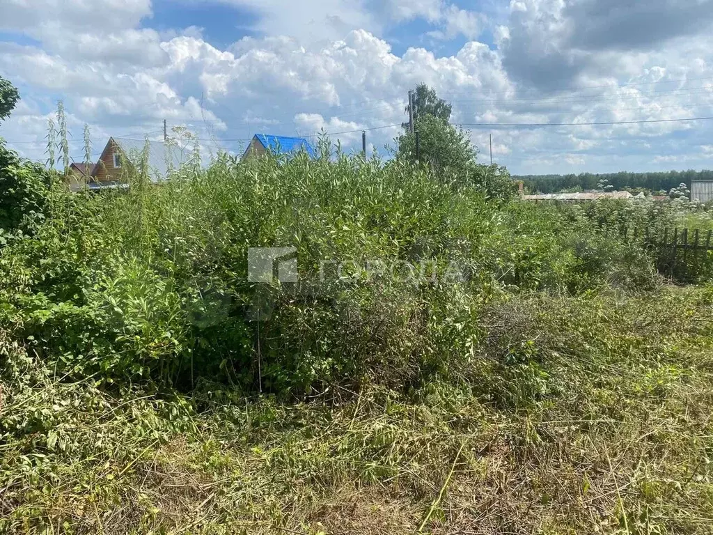 Участок 6,1 сот. (СНТ, ДНП) - Фото 1
