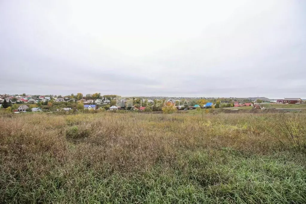 Участок в Алтайский край, Барнаул городской округ, Поселок Казенная ... - Фото 1