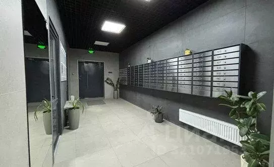 3-к кв. Волгоградская область, Волгоград Ополченская ул., 27Б (63.0 м) - Фото 1