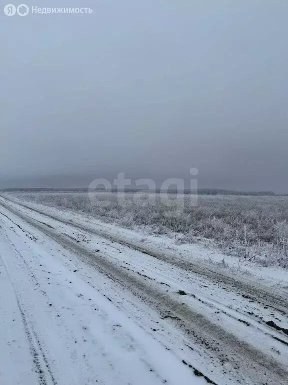 Участок в Щёкинский район, сельское поселение Огарёвское (15 м) - Фото 1