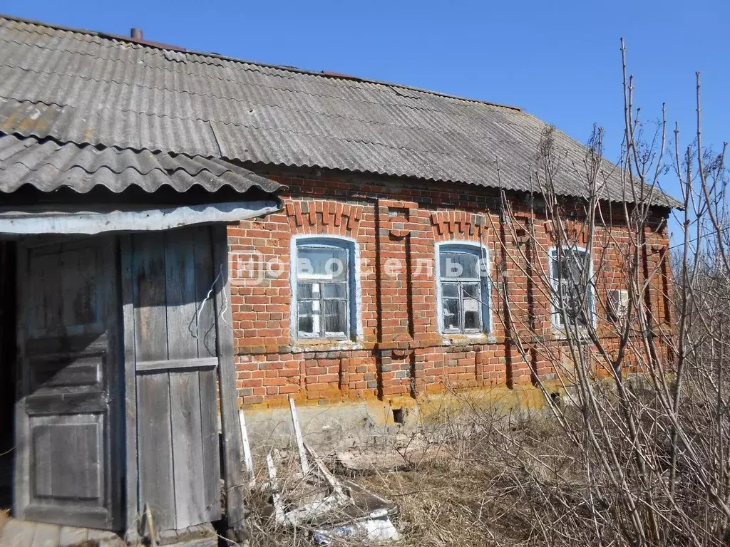 Дом в Рязанская область, Пронский район, Малинищинское с/пос, с. ... - Фото 2
