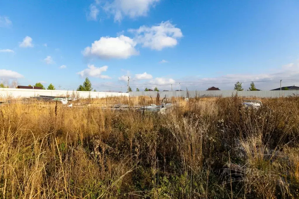 Участок в Тюменская область, Тюменский муниципальный округ, с. ... - Фото 1