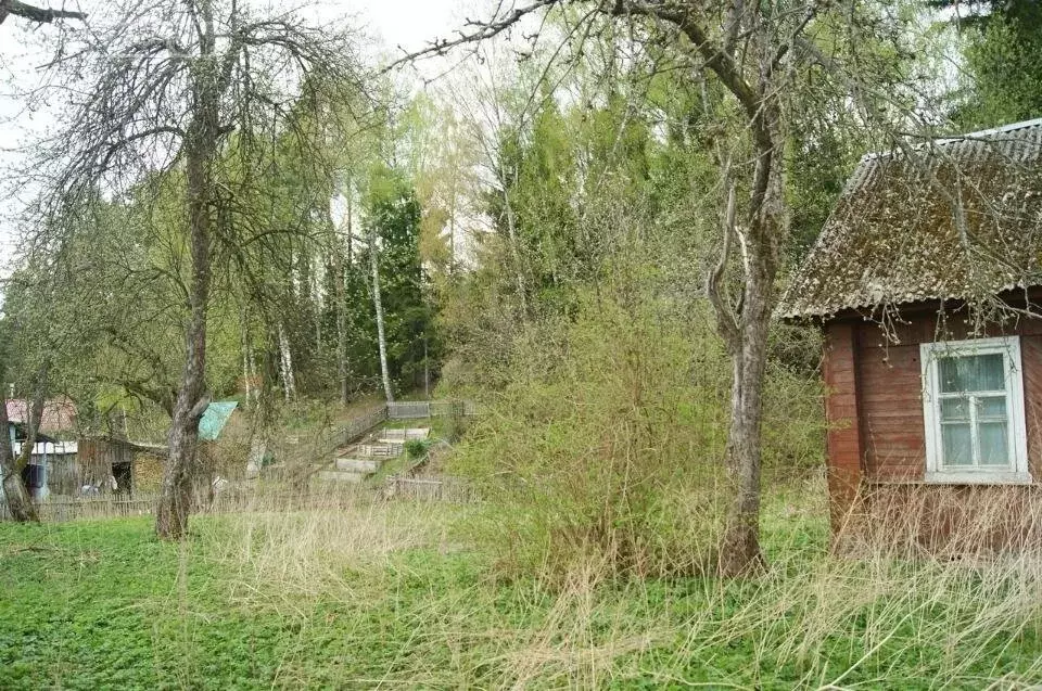 Дом в деревня Фофаново (38 м) - Фото 1