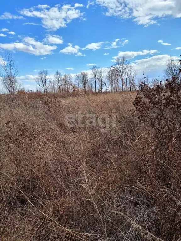 Участок в Амурская область, Благовещенск  (10.0 сот.) - Фото 0