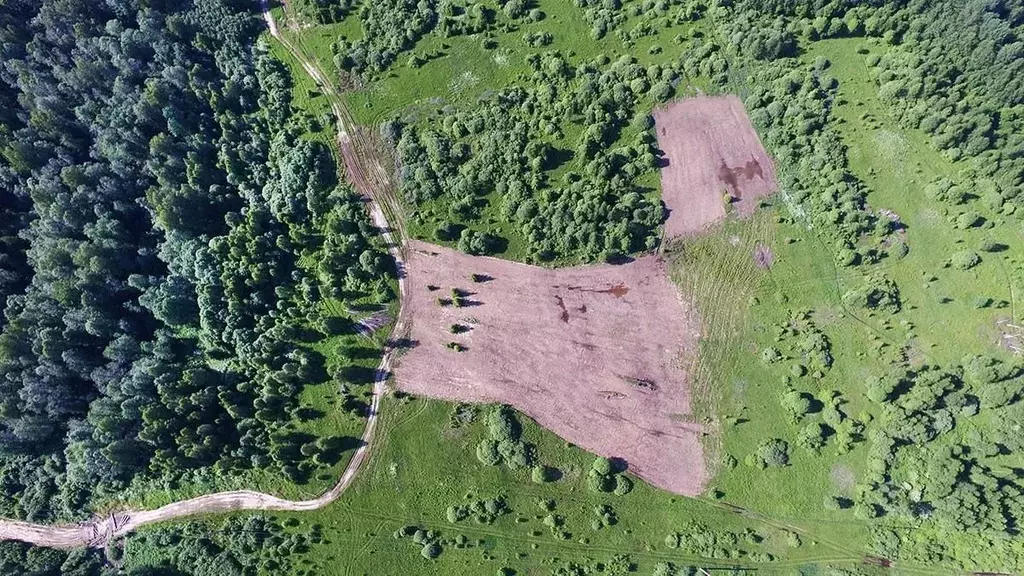 Участок в Калужская область, Медынский район, Михеево с/пос, д. ... - Фото 2