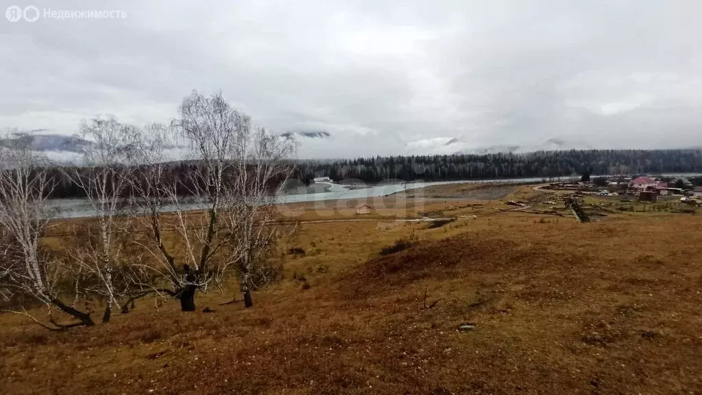 Участок в Усть-Коксинский район, село Тюнгур (14.45 м) - Фото 0