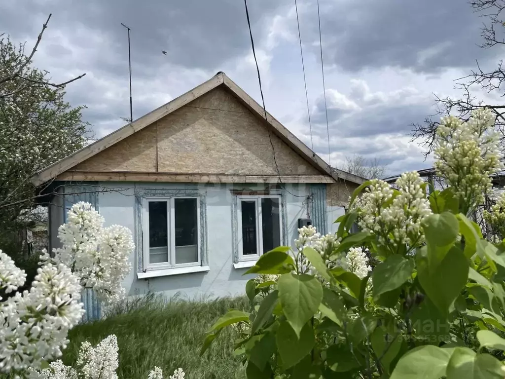 Дом в Крым, Красноперекопский район, с. Магазинка ул. Львовская (54 м) - Фото 2
