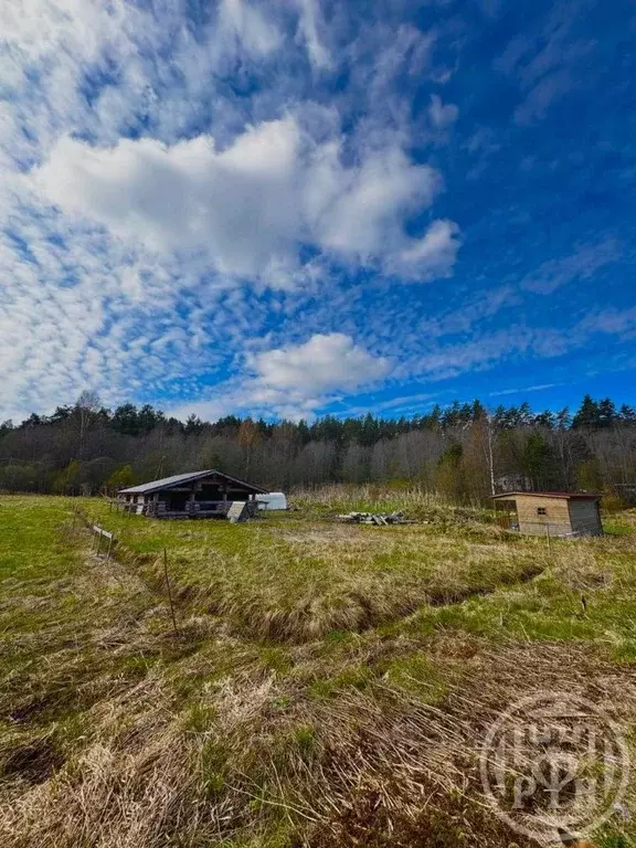 Участок в Ленинградская область, Выборгский район, Каменногорское ... - Фото 1