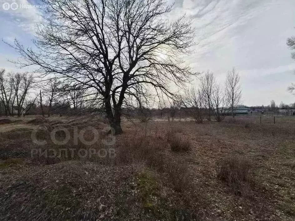 Участок в хутор Лебяжья Поляна, Спортивная улица, 2Г (24 м) - Фото 2