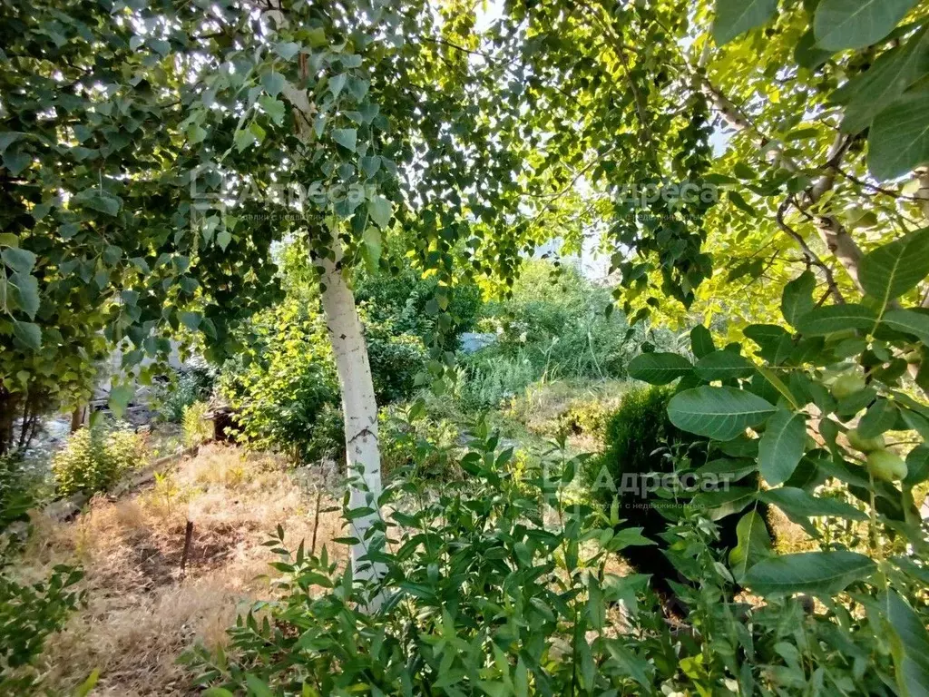 Участок в Волгоградская область, Волгоград Староладожская ул. (9.99 ... - Фото 1