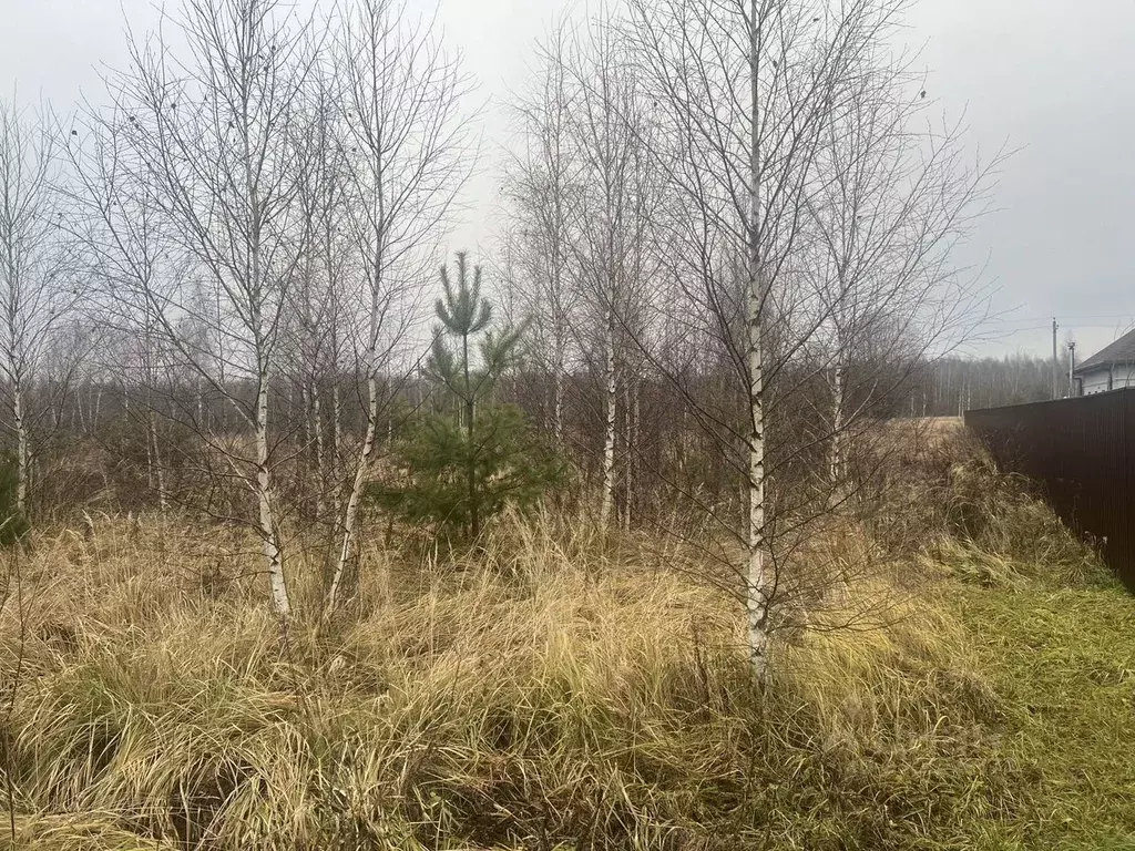 Участок в Московская область, Раменский муниципальный округ, д. ... - Фото 1