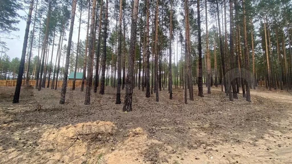 Участок 9 сот. (ИЖС) - Фото 1