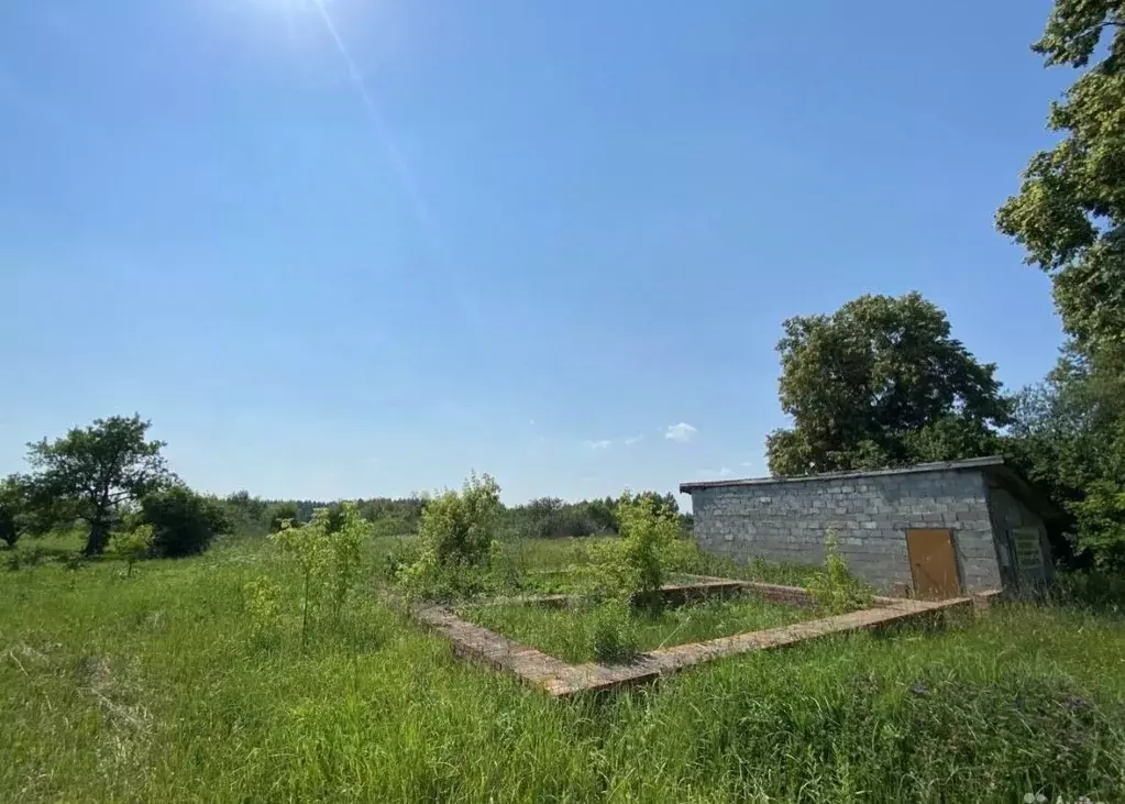 Участок в Нижегородская область, Воротынский городской округ, д. ... - Фото 1