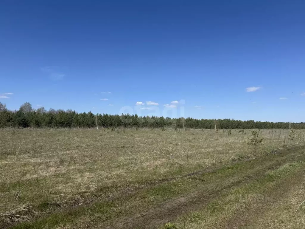 Участок в Ульяновская область, Тереньгульский район, Подкуровское ... - Фото 1