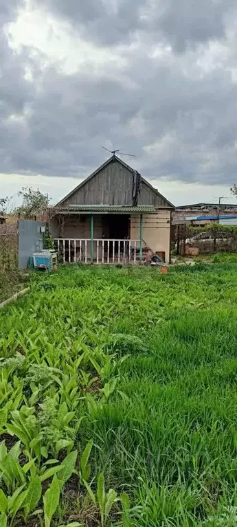Дом в Саратовская область, Балаково Химик-1 СНТ, 75 (20 м) - Фото 1