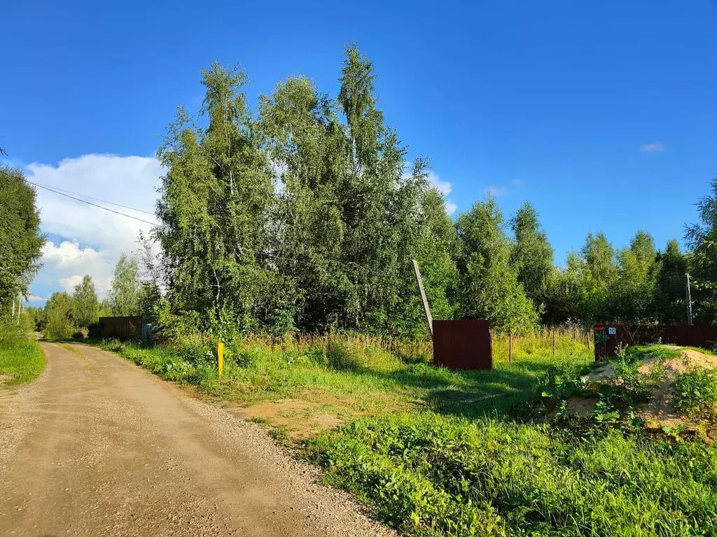 Участок в Владимирская область, Александровский район, Андреевское ... - Фото 1