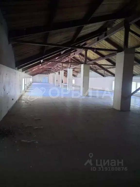Помещение свободного назначения в Тюменская область, Тюмень ул. ... - Фото 1
