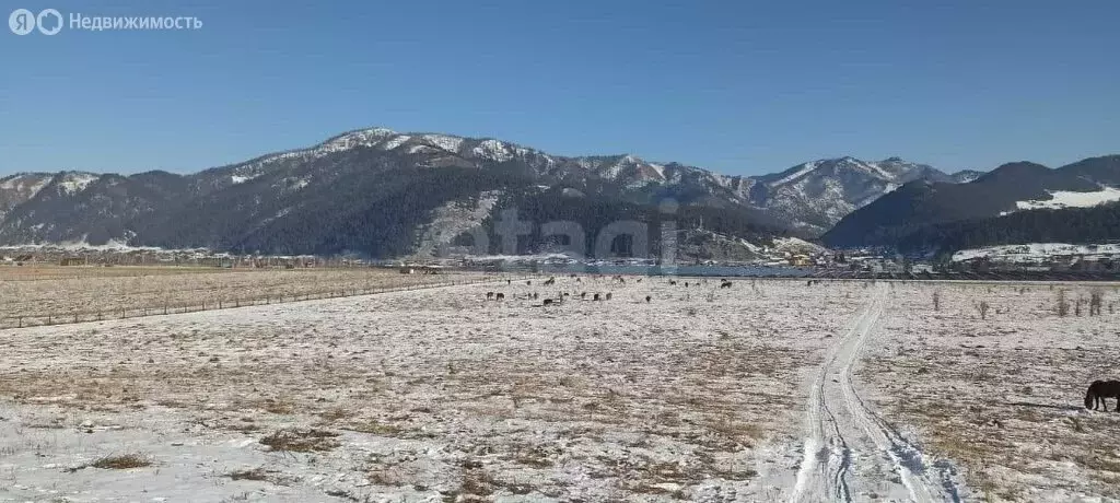 Участок в Чемальский район, ДПК Рублёвка, Садовая улица (11.6 м) - Фото 2