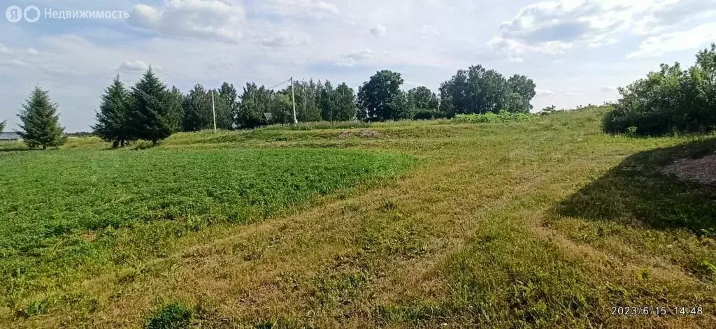Участок в Высокогорский район, Альдермышское сельское поселение, ... - Фото 0