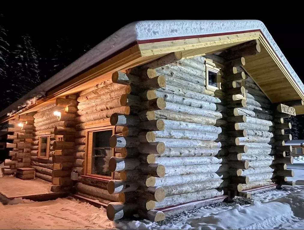 Дом в Карелия, Медвежьегорск ул. Чкалова, 30 (75 м) - Фото 1