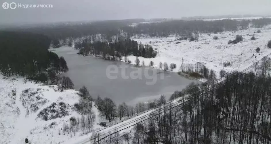 Участок в Нижегородская область, Дальнеконстантиновский муниципальный ... - Фото 2