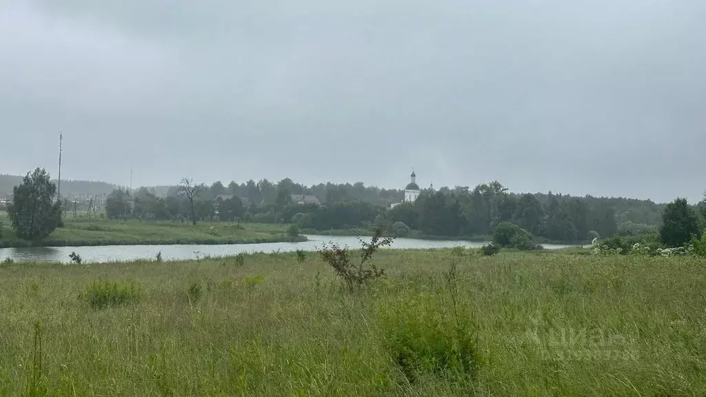 Участок в Московская область, Пушкинский городской округ, с. Ельдигино ... - Фото 0
