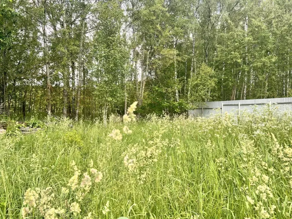 Участок в Московская область, Одинцовский городской округ, Лапино СНТ ... - Фото 0