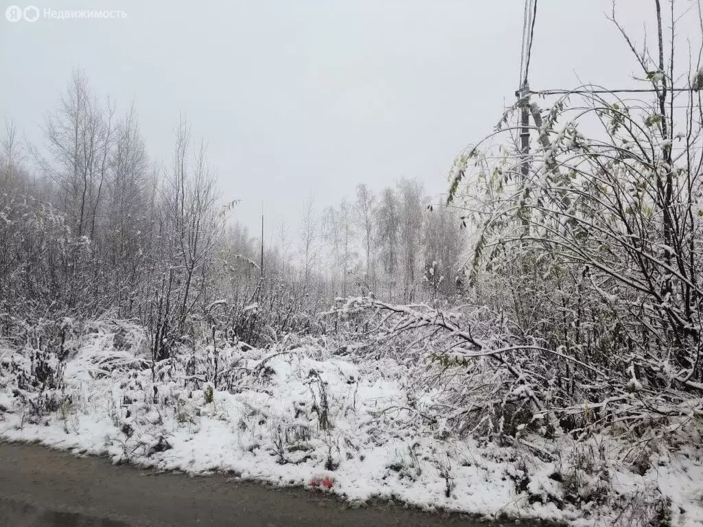 Участок в Покров, Молодёжная улица (12 м) - Фото 2