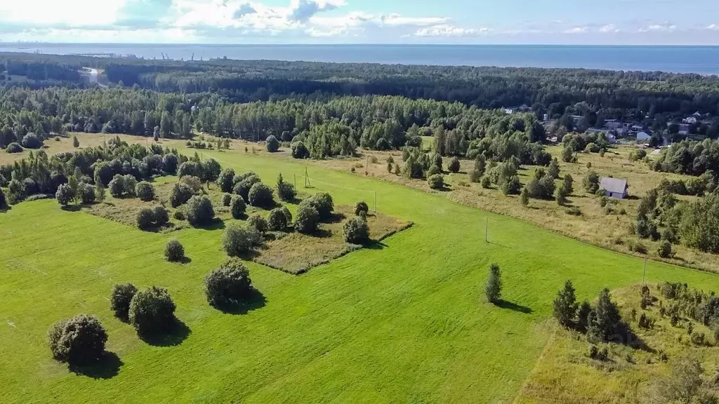 Участок в Ленинградская область, Кингисеппский район, Вистинское ... - Фото 1