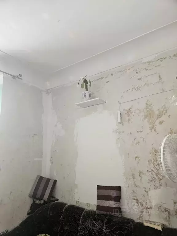 Комната Пермский край, Пермь ул. Лебедева, 10 (13.5 м) - Фото 2