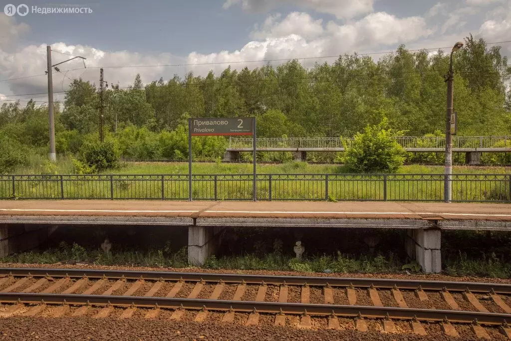 Участок в Московская область, муниципальный округ Чехов, посёлок ... - Фото 0