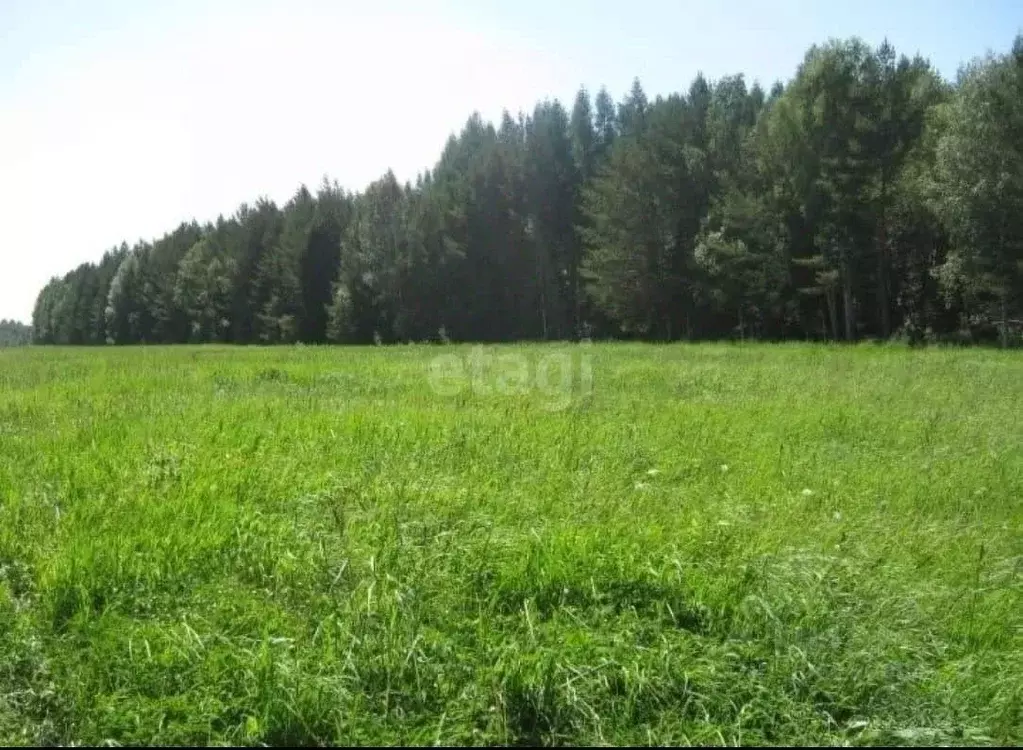 участок в свердловская область, полевской городской округ, с. . - Фото 1