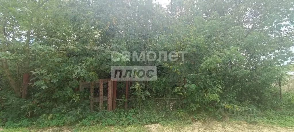 Участок в Липецкая область, Задонский муниципальный округ, д. Синявка ... - Фото 1