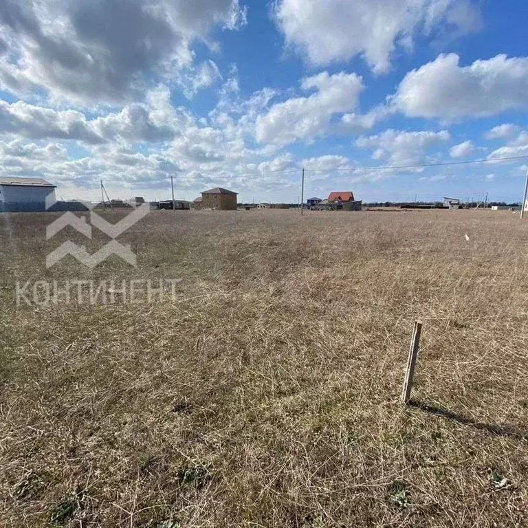 Участок в Крым, Черноморский район, с. Новосельское ул. Вишневая (4.0 ... - Фото 0