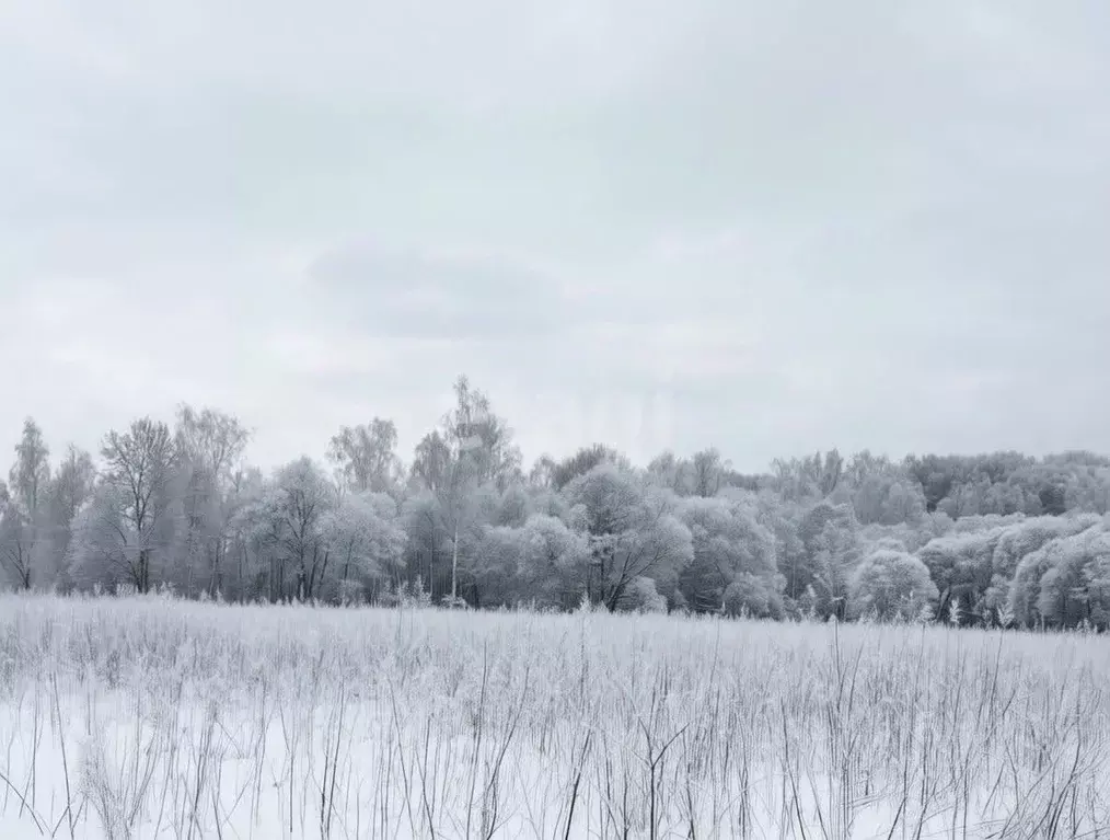 Участок в Тульская область, Тула городской округ, д. Малевка ул. ... - Фото 1