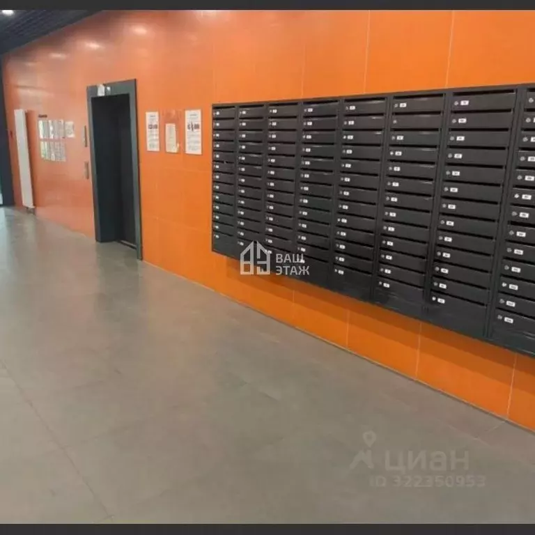 Студия Калужская область, Калуга ул. 65 лет Победы, 6 (24.2 м) - Фото 1