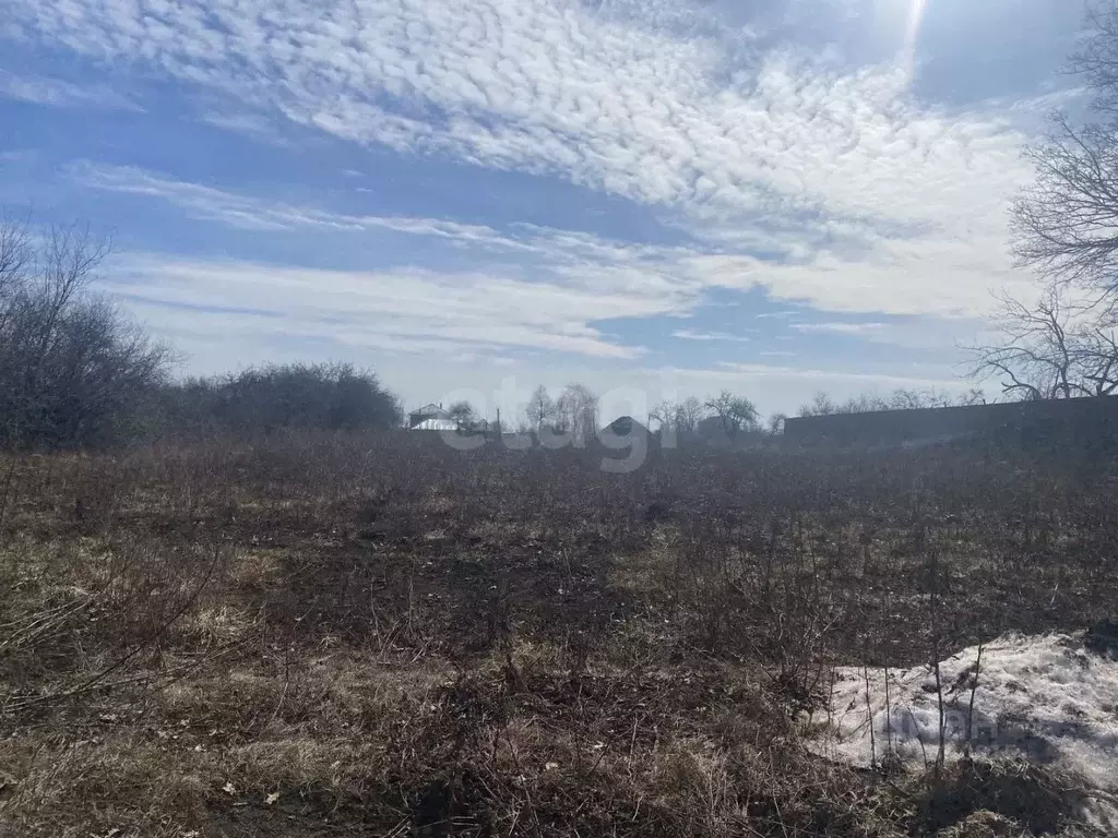 Участок в Белгородская область, Корочанский район, Погореловское ... - Фото 2