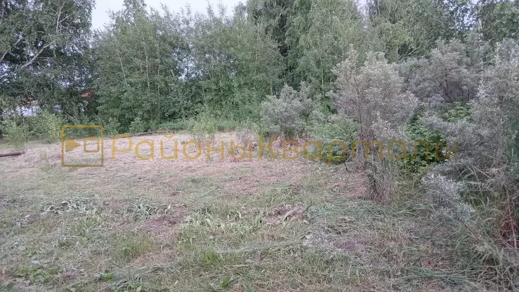 Участок в Новосибирская область, Новосибирский район, Морской ... - Фото 0