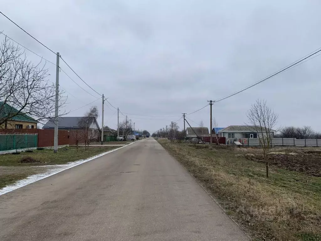 Участок в Краснодарский край, Анапа муниципальный округ, Розы ... - Фото 1