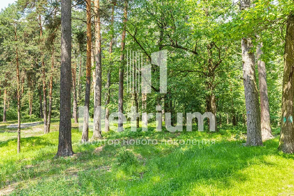 Продается участок в КП Шервуд - Фото 1