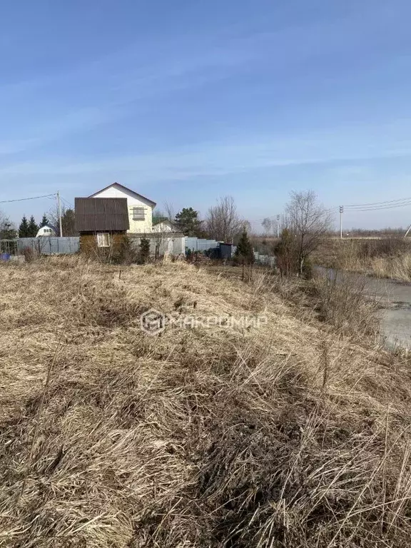 Участок в Новосибирская область, Коченевский район, Дружба-2 СНТ ул. ... - Фото 1
