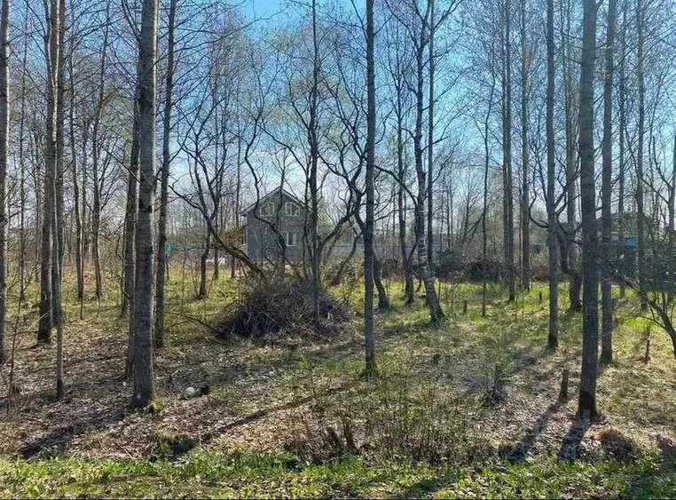 Участок в Новгородская область, Новгородский район, Ермолинское с/пос, ... - Фото 0