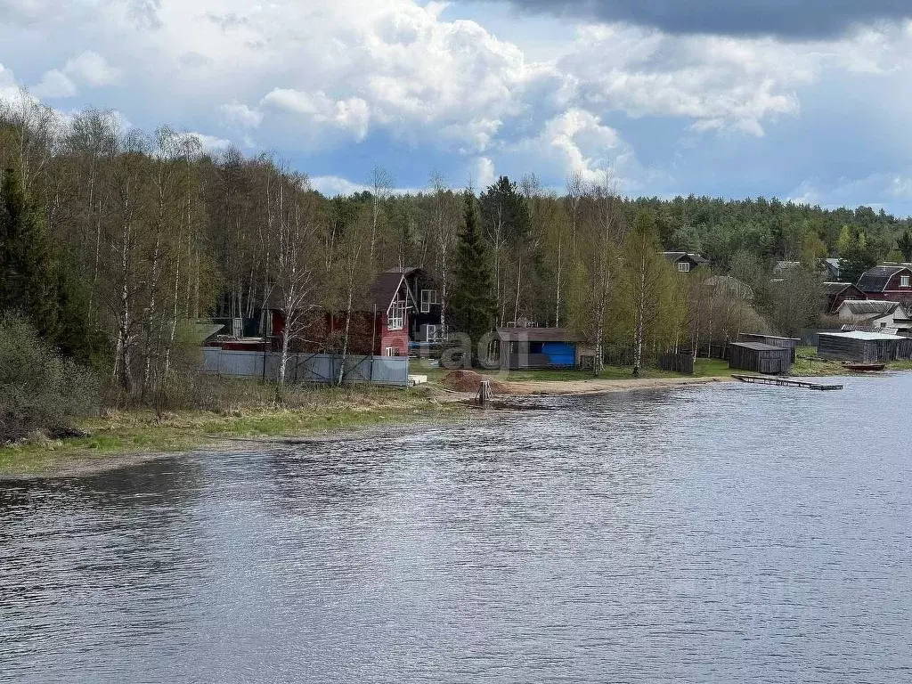 Дом в Тверская область, Осташковский городской округ, д. Панюки ., Купить  дом Панюки, Осташковский район, ID объекта - 50010388823